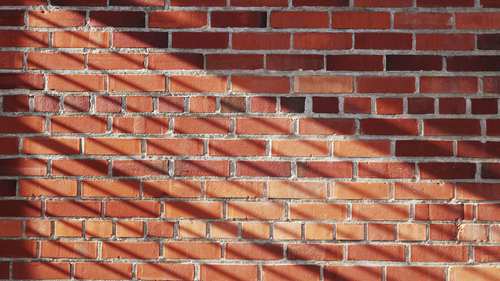 best experienced contractors